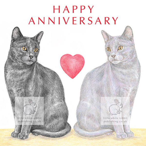 Cat - Anniversary Card