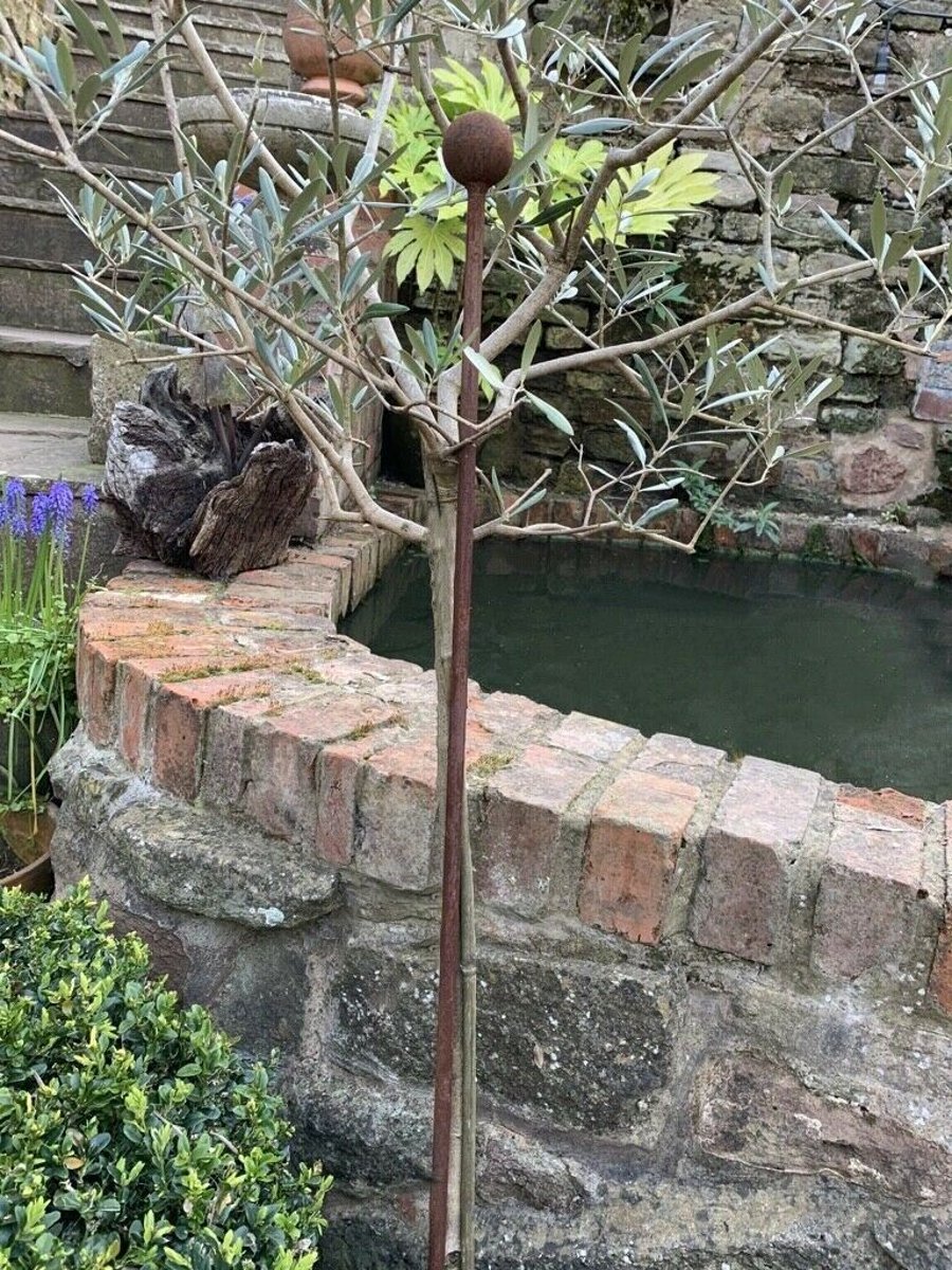 Rusty Metal Plant Stake 1.5m, Olive Tree Support, Rusted Rustic Garden Decor