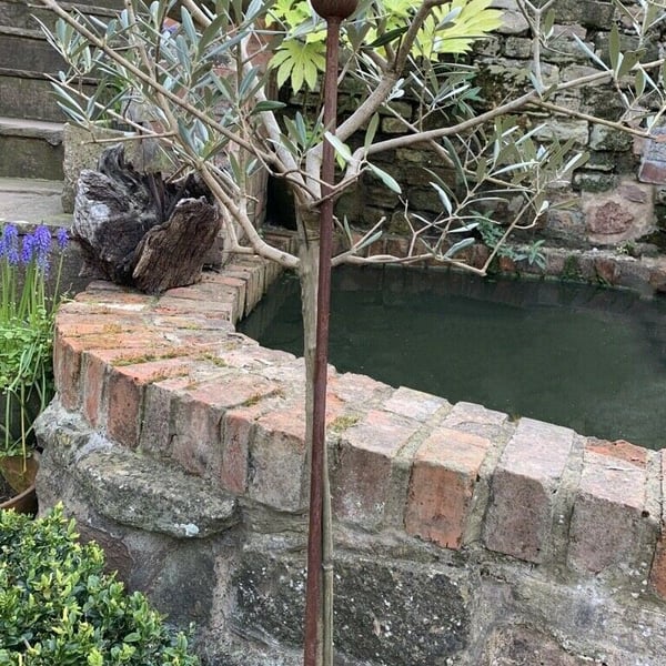 Rusty Metal Plant Stake 1.5m, Olive Tree Support, Rusted Rustic Garden Decor