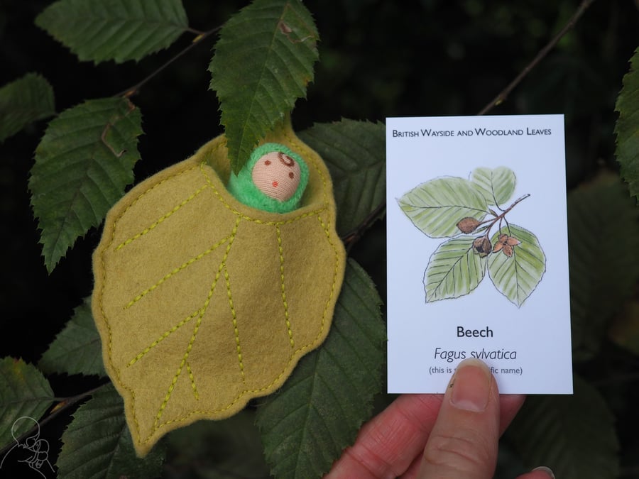 Baby fairy beech leaf doll