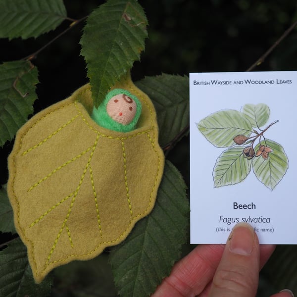 Baby fairy beech leaf doll