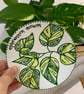 Hand Painted Botanical Ceramic Coaster, Pottery Plant Coasters - Image 8