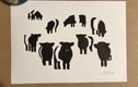 Wildlife