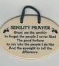 Senilty Prayer Magnet - Image 1