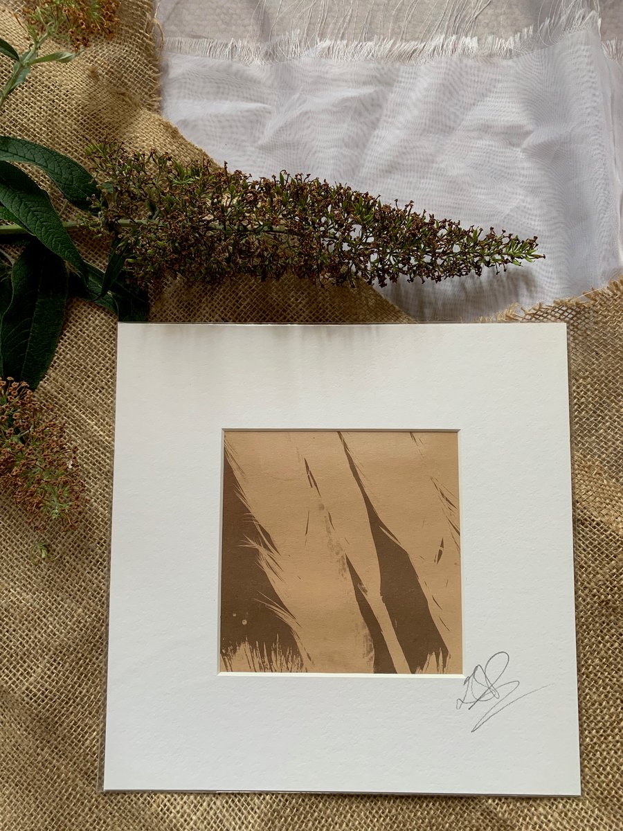 Tea Toned Cyanotype Feather Print