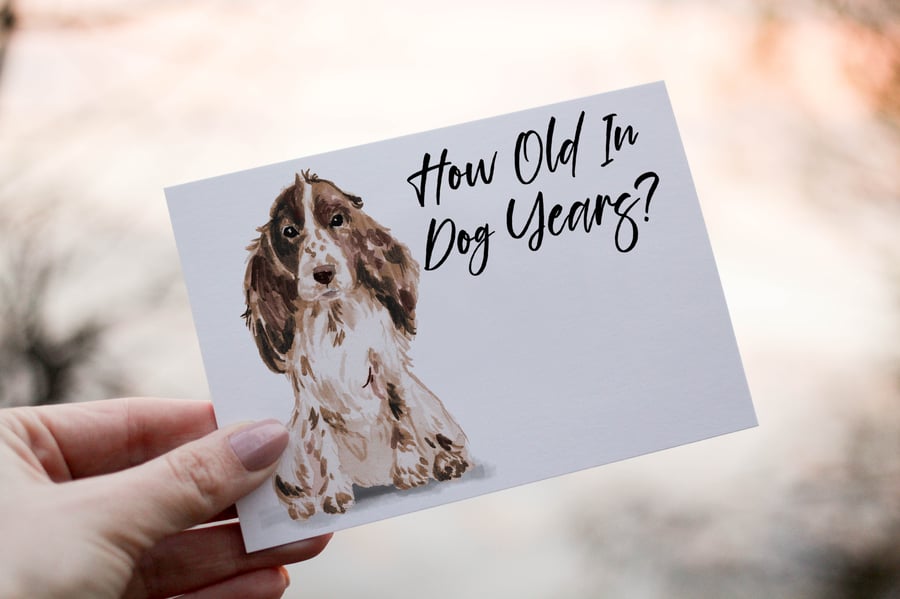 Cocker Spaniel Dog Birthday Card, Dog Birthday Card, Personalized Dog Breed Card