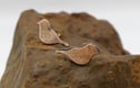 Copper Earrings.