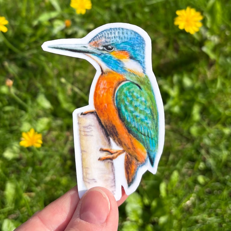 Kingfisher Sticker