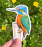 Kingfisher Sticker