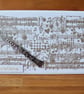 Music Exam Passed. - Image 2
