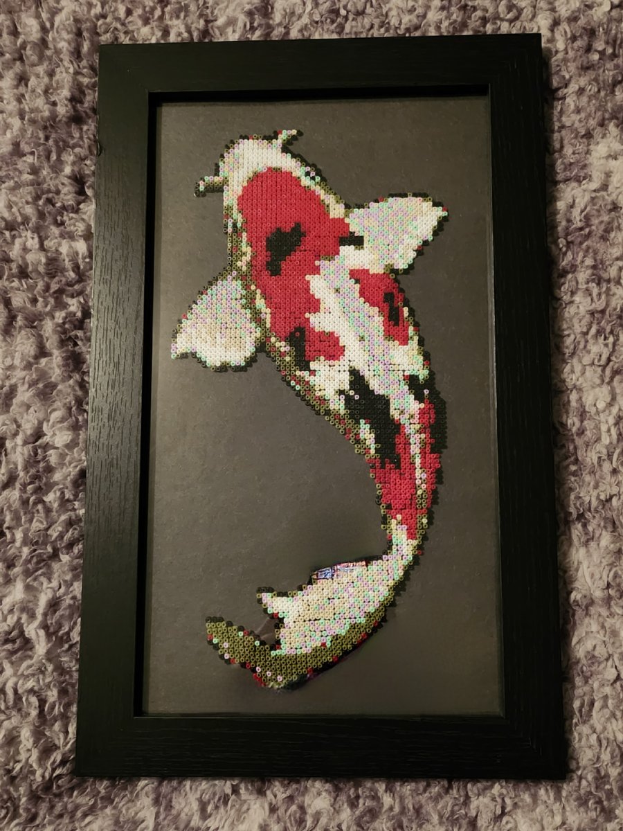 koi Carp wall framed picture