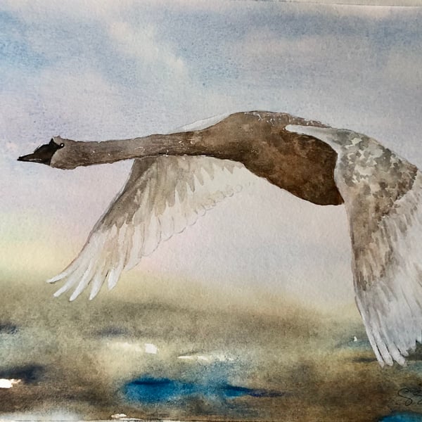 Take Flight