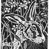 Midsummer Hare, Limited edition Linocut Print