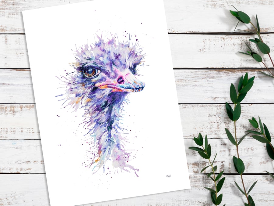 Ostrich watercolour print, painting, illustration, tropical wall art