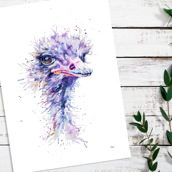 Ostrich watercolour print, painting, illustration, tropical wall art