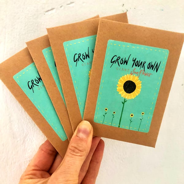 Grow your own GIANT Sunflower 
