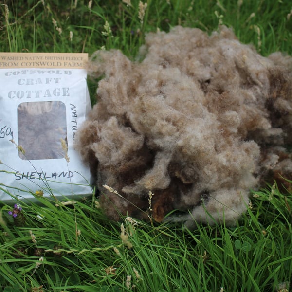 Shetland Native British Sheep Wool - 50g bag-hand picked and scoured