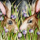Nocturnal Hares Rabbits in Poppyseed Field Watercolour Print Art 