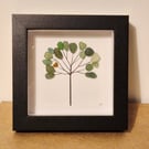 Mini seaglass seaham sea glass tree art 12cmx12cm frames 
