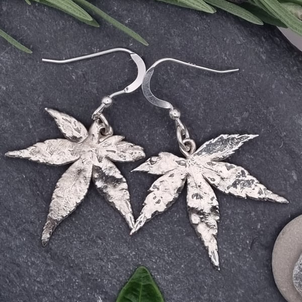 Real Acer leaves preserved in silver dangly earrings