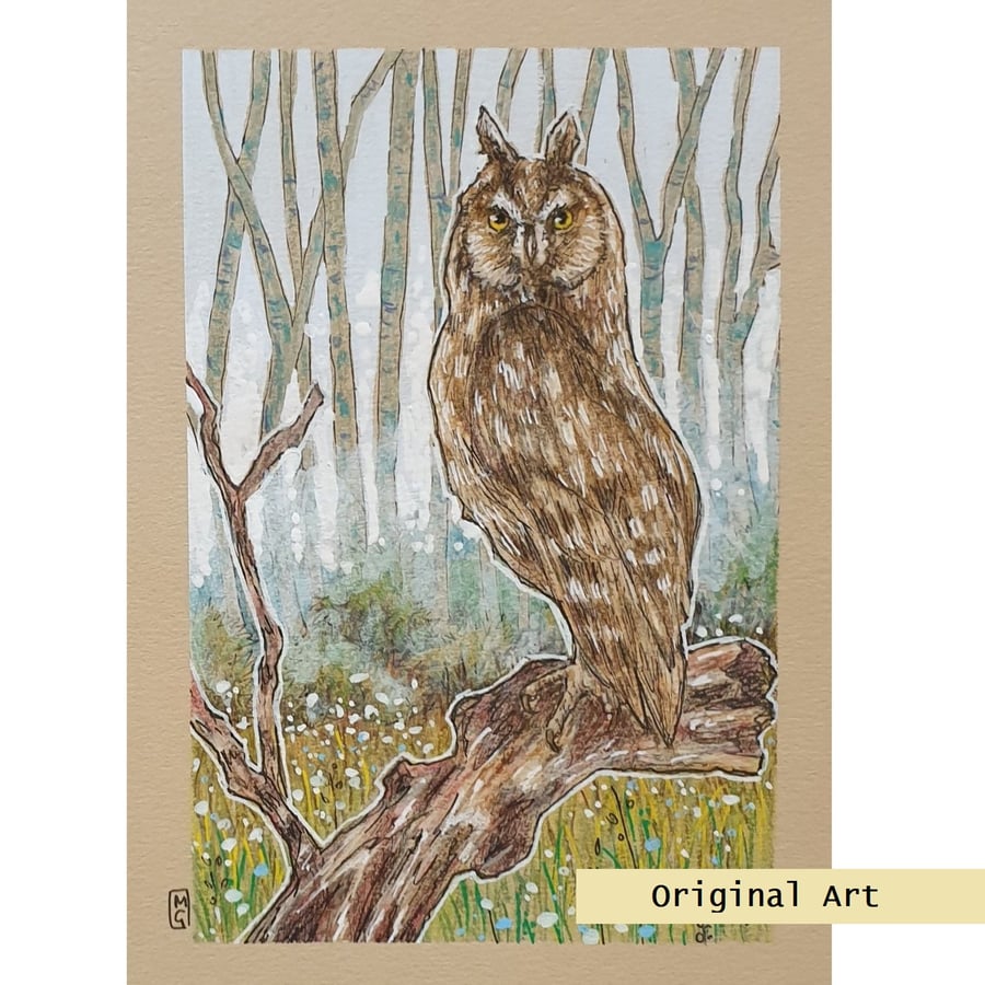 Long Eared Owl, bird artwork, owl art, original drawing, wall art
