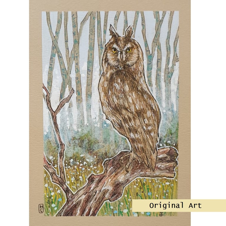 Long Eared Owl, bird artwork, owl art, original drawing, wall art