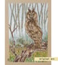 Long Eared Owl, bird artwork, owl art, original drawing, wall art