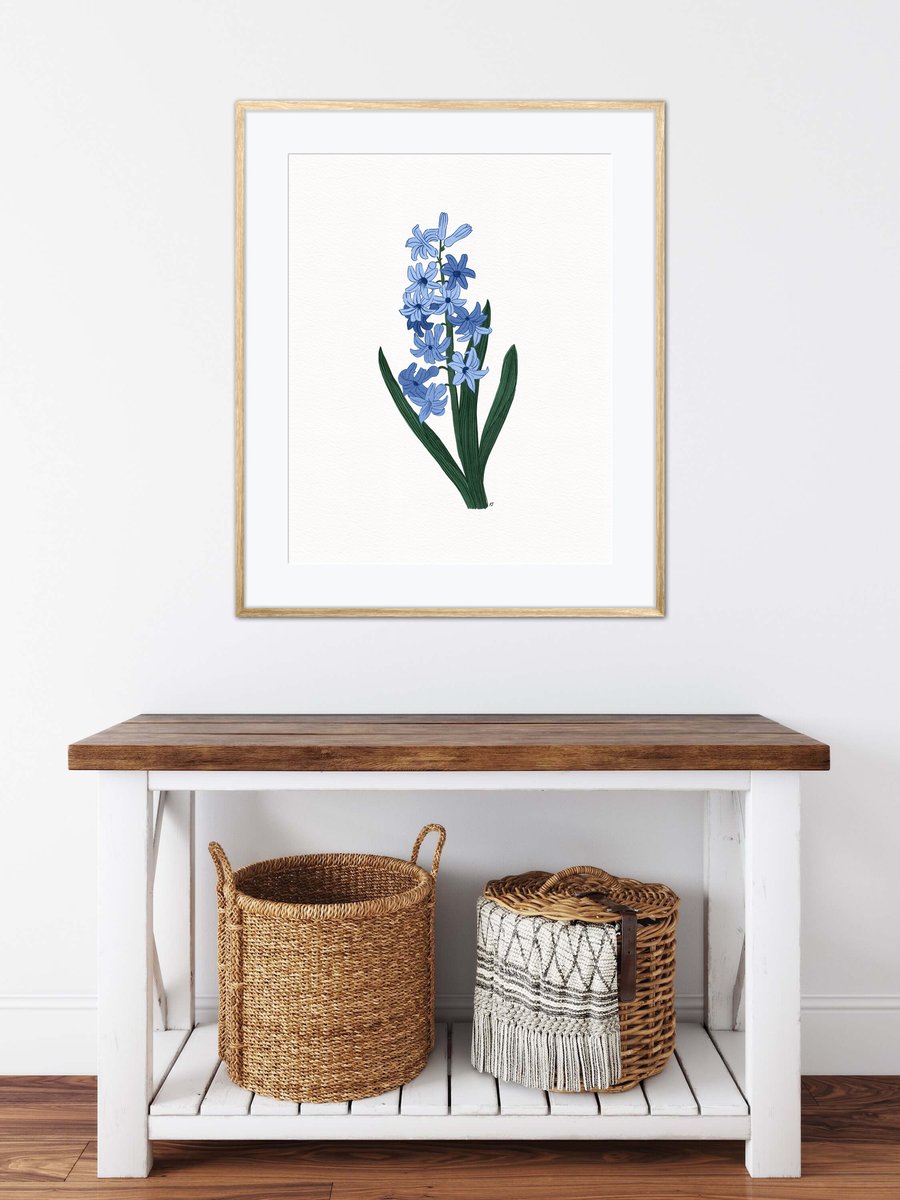 Blue Hyacinth Flowers Wall Art Print, Botanical illustration Art Print