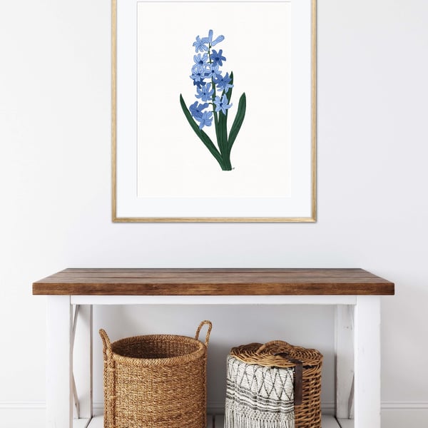 Blue Hyacinth Flowers Wall Art Print, Botanical illustration Art Print