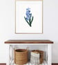Blue Hyacinths Flowers Illustration A4 Art Print