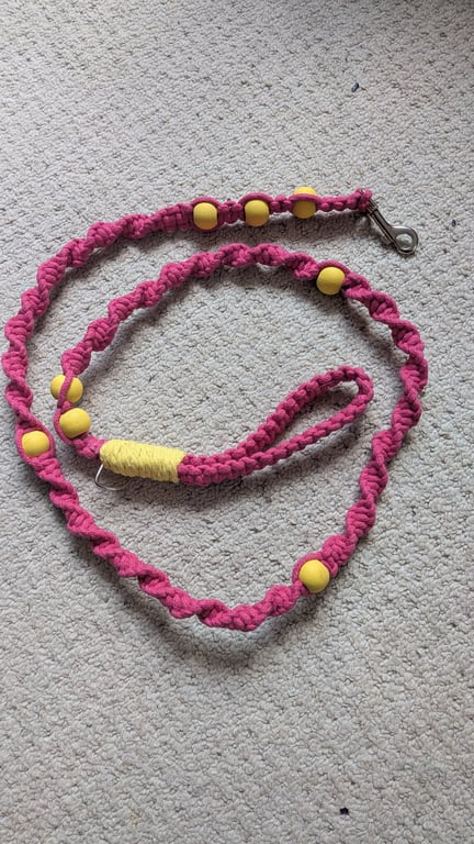 Macrame dog lead