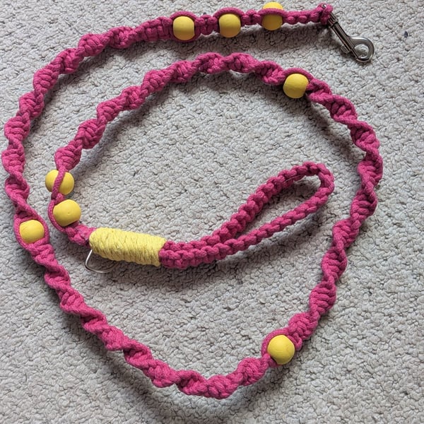 Macrame dog lead