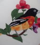 Baltimore Oriole REDUCED PRICE - Image 2
