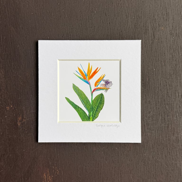 'Paradise' 5" x 5" Hand Finished Print