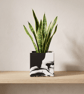 Black and White 10 cm Square Plant Pot - Marbled Indoor Planter