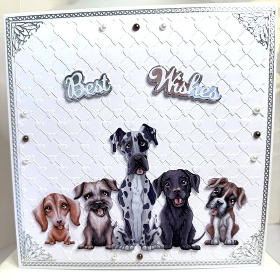 Cute Birthday Card for Dog Lovers, Multiple Dog Breeds, 3D Handmade
