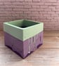 Merlin's Mint small pot - Image 4
