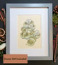Lithops plant drawing, small stone plant artwork, botanical wall art