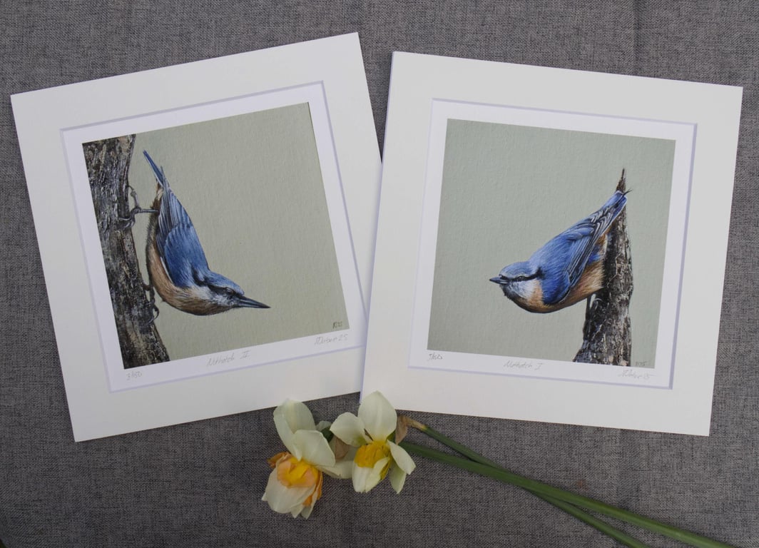Nuthatch Giclee Print of an Original Oil, UK Wildlife Oil Painting, Bird Artwork