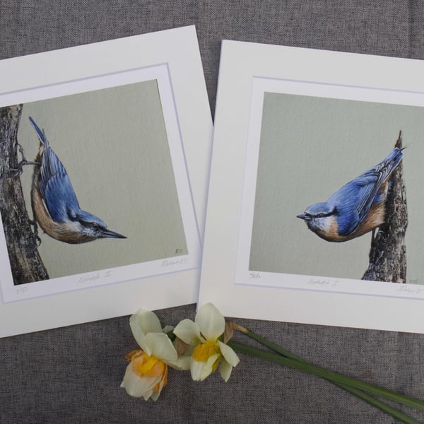 Nuthatch Giclee Print of an Original Oil, UK Wildlife Oil Painting, Bird Artwork