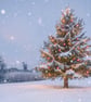 Windmill & Xmas Tree Norfolk Broads Winter Norfolk Christmas Greeting Card A5