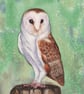 Barn Owl Original Watercolour Bird Painting - Image 2