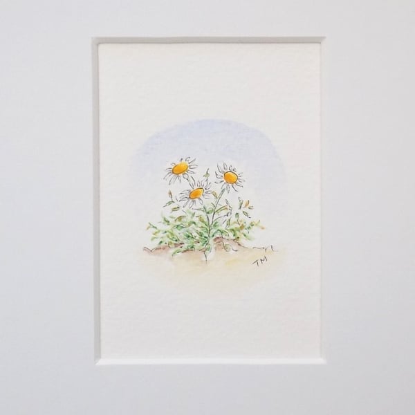 S A L E     Miniature Watercolour Flower Painting Daisies  4 cm x 4.5 cm