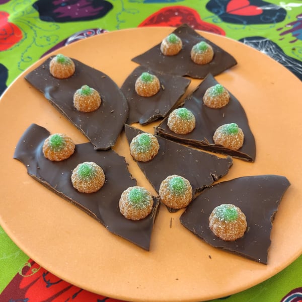 Halloween tree bark! Pumpkin patch chocolate shards! Vegan! Gluten free! 50g! 