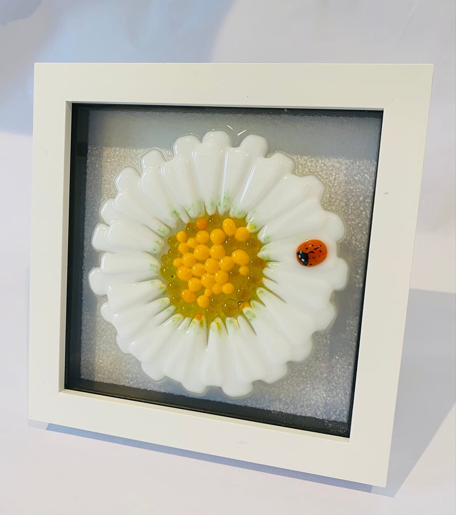 Fused glass daisy picture. 