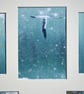 3 Gannets - collage - Image 4