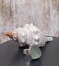 Sterling Silver 925 Seafoam Colour Seaham Seaglass Textured Band Ring  - Image 5