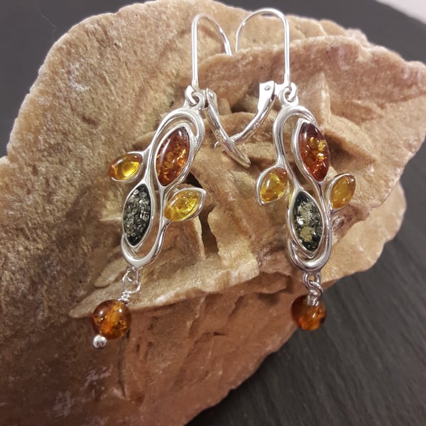 Three Colour Baltic Amber and Sterling Silver Earrings