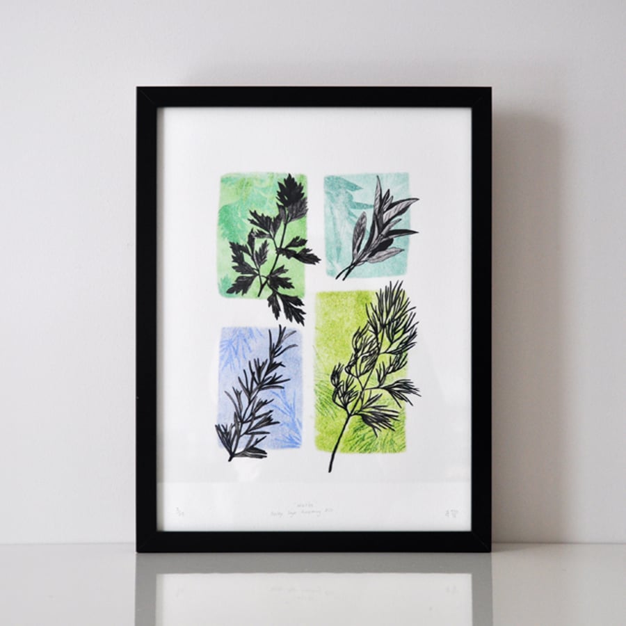 Fine Art Giclee Print - Herbs - Unframed