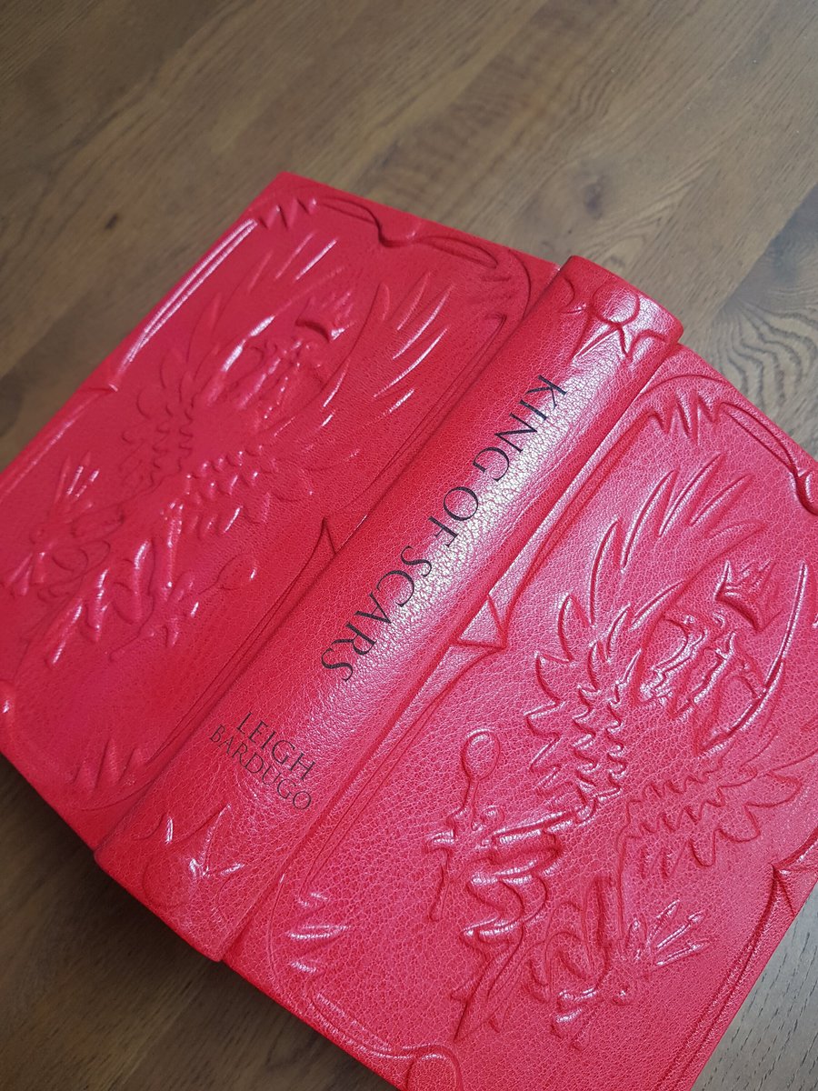 King of Scars (Hardback Rebind)